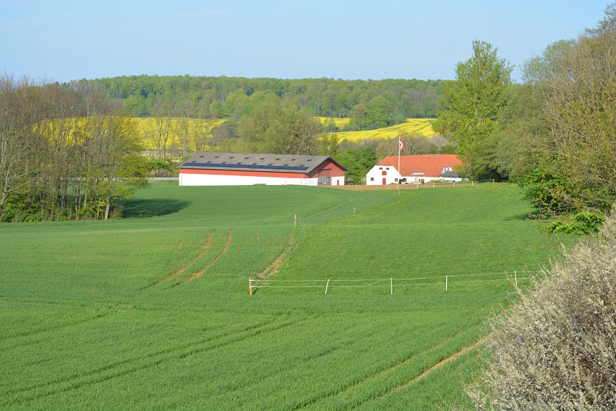 http://hestemoellegaard.dk/jpg/1399673342.jpg