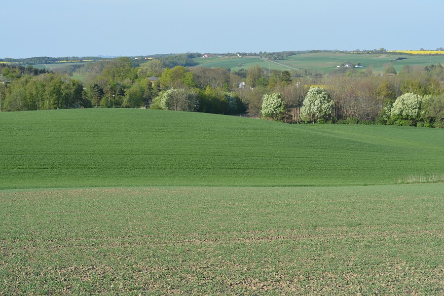 http://hestemoellegaard.dk/jpg/1399673591.jpg